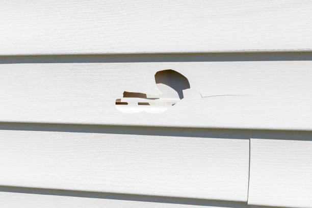 Best Custom Trim and Detailing for Siding  in Kearny, NJ